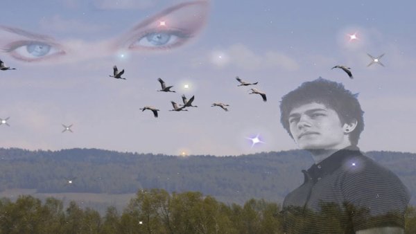 Расул Гамзатов Журавли