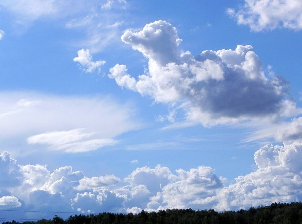 По небу плывут облака