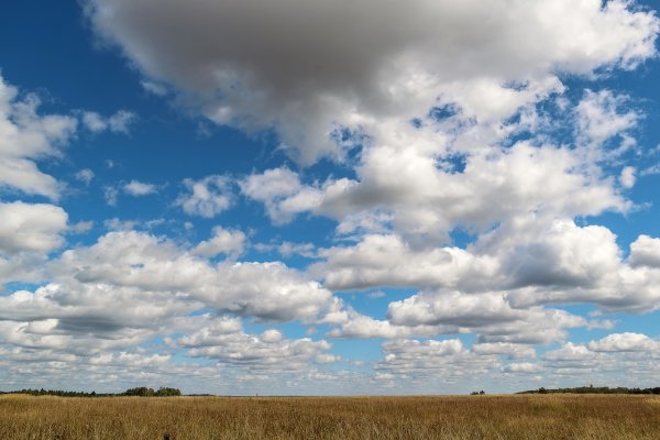 Облака плывут