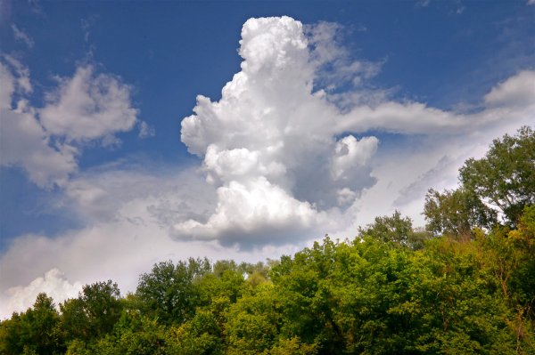 По небу плывут облака