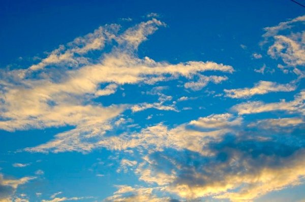 Живые облака