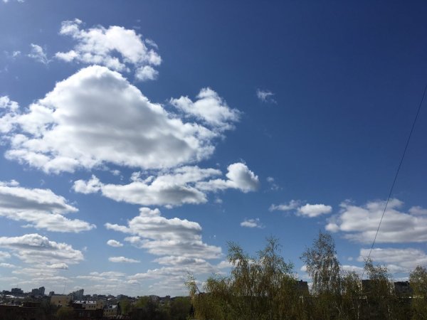 Небо в барашках