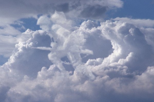 Небесный кит Геншин