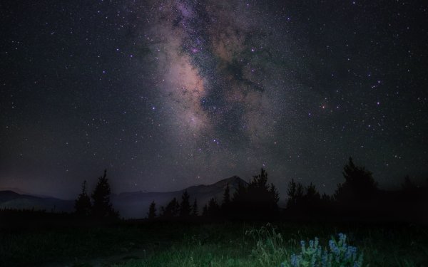 Ночное небо