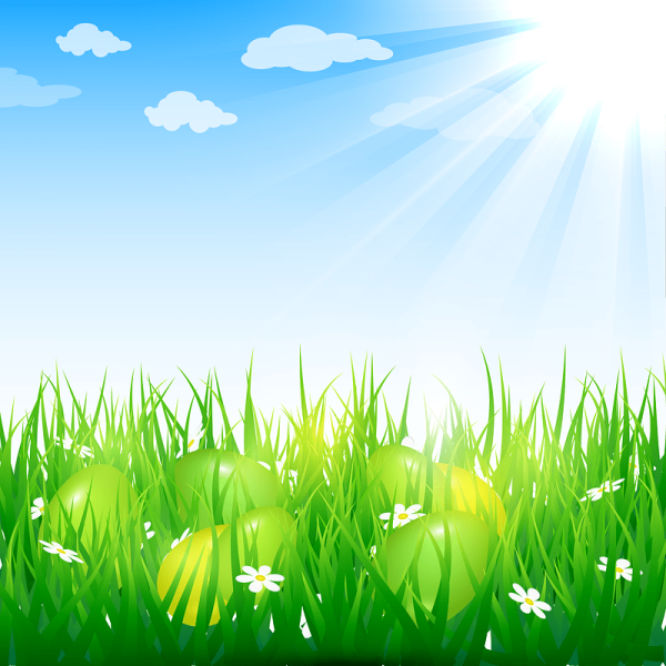 Травка и солнышко