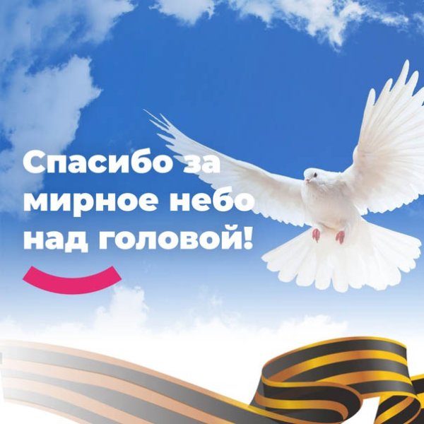 Спасибо за мирное небо над головой