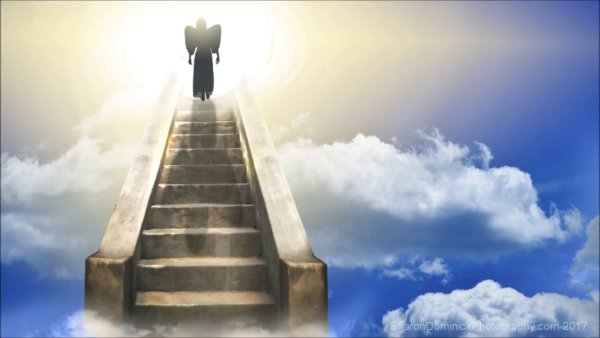 Человек по лестнице в небо