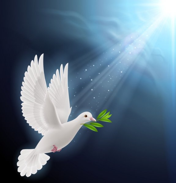 Голубь в небе с веточкой