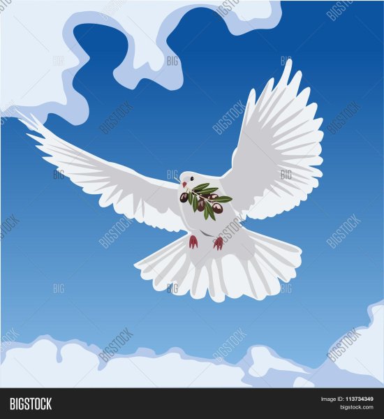 Голубь с оливковой ветвью