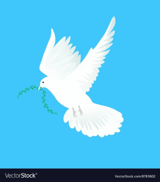 Голуби на праздник