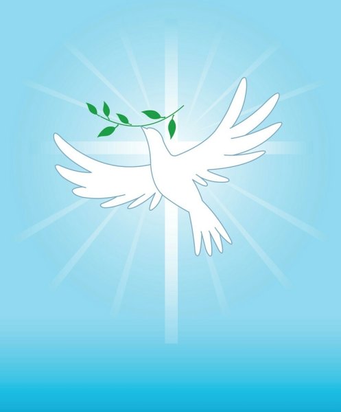 Белый голубь с веточкой в клюве