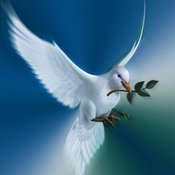 Голубка с веточкой в клюве