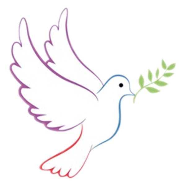 Белый голубь в руках