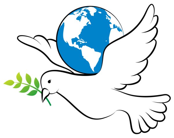 Белый голубь