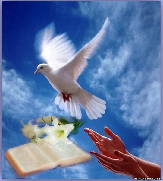 Голубь с оливковой ветвью в клюве