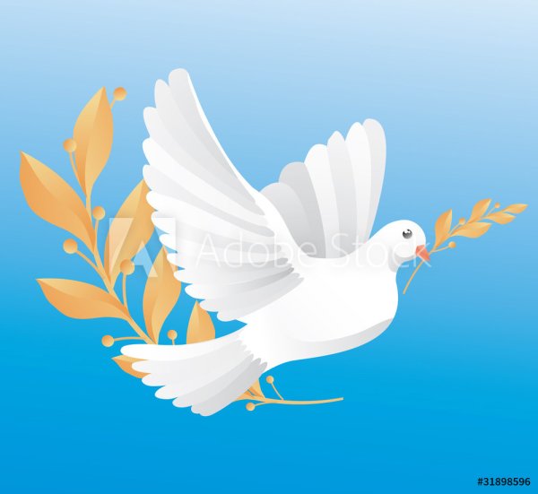 Голубь анимация