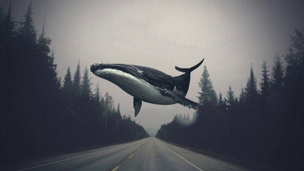 Аниме пейзаж