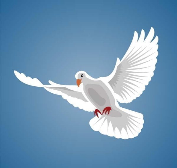 Белый голубь с веточкой в клюве