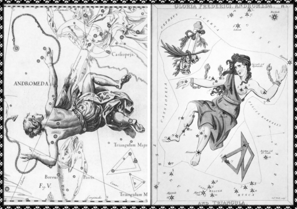 Ян гевелий атлас звездного неба