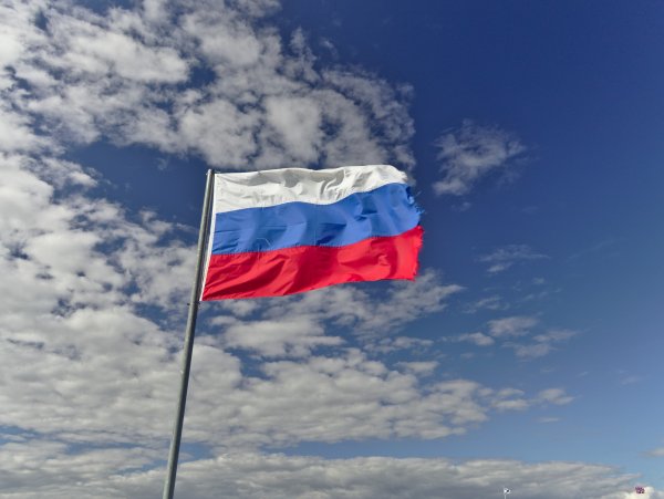 Михаил Перебинос Череповец