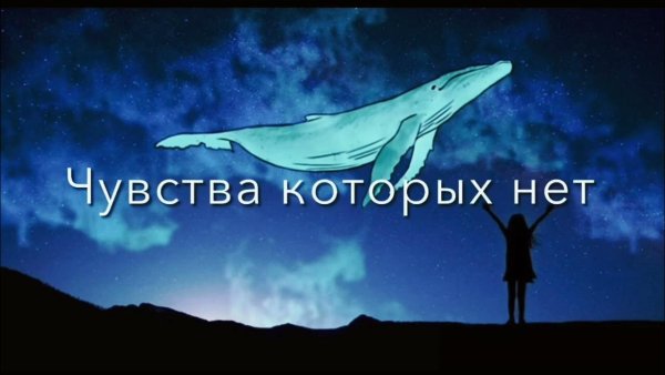 Кит в тумане