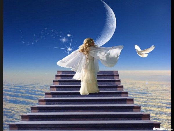 Лестница уходящая в небо