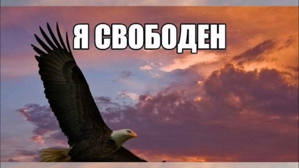 Я свободен словно птица