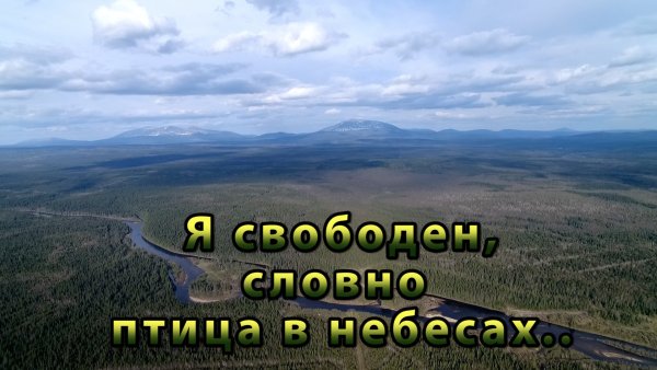 Я свободен словно птица в небесах
