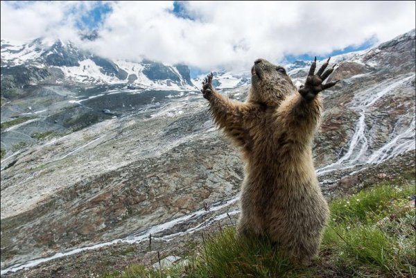 Свободен словно птица в небесах