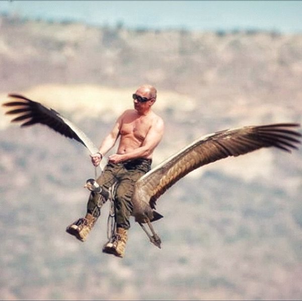 Я свободен словно