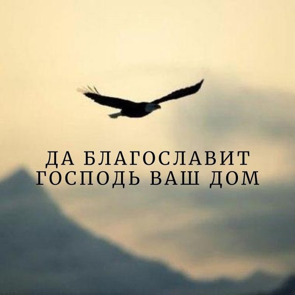 Статус я свободна