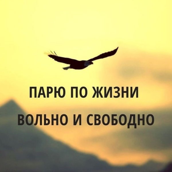 Когда сдал все экзамены картинки