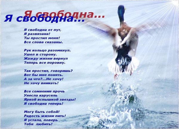 Я свободен словно птица в небесах
