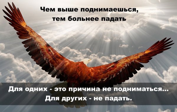 Ты свободен словно птица в небесах