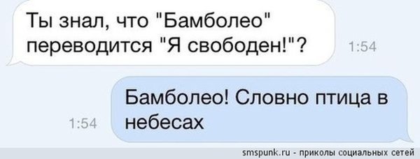 Человек птица