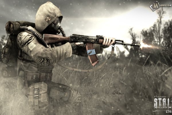 Чистое Нобо сталкер