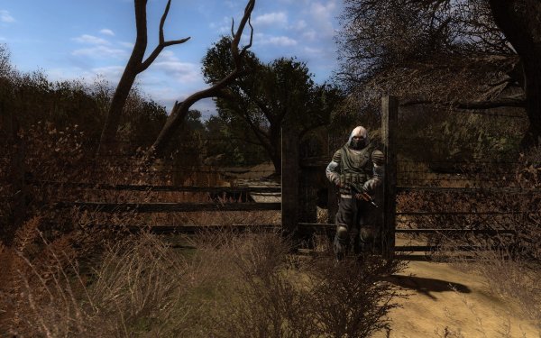 Сталкер клан чистое небо