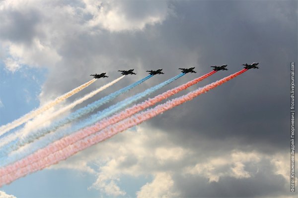 Стрижи Авиация Севастополь