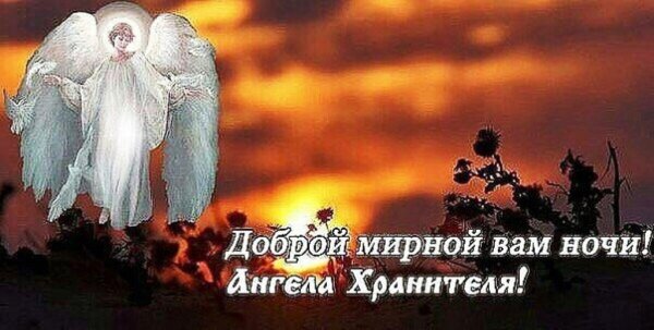 Журавли Расула Гамзатова