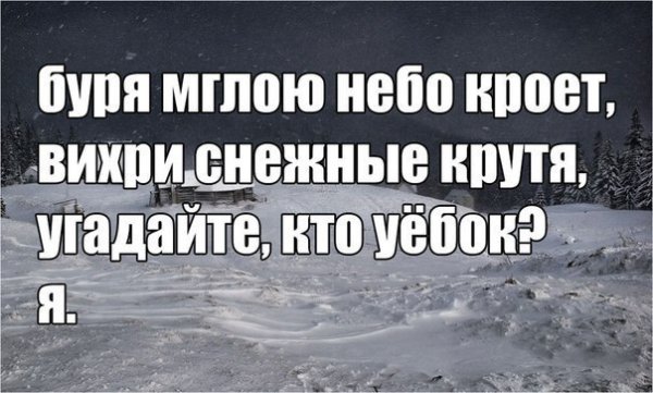 Буря мглою небо кроет вихри снежные крутя прикол