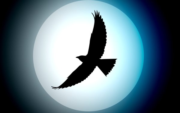 Ворон на фоне Луны