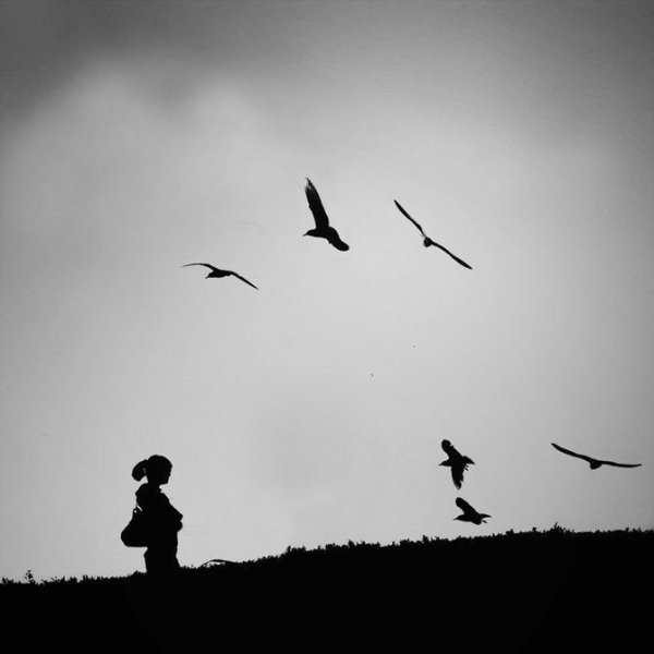 Птичка улетает