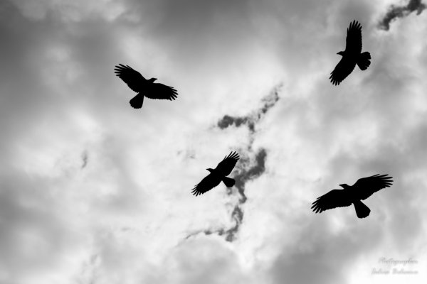 Парень на небесах