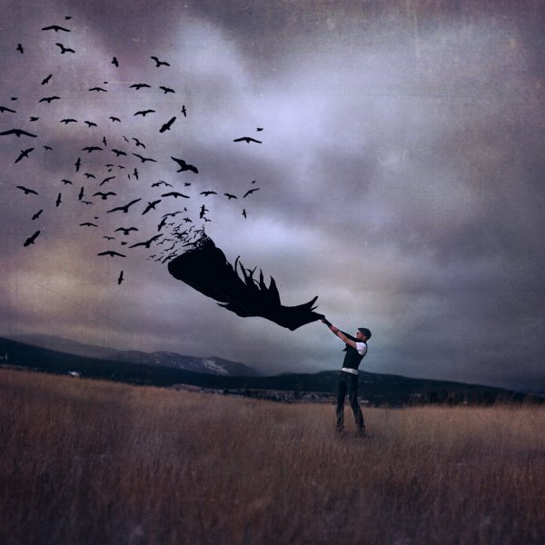 Птицы в облаках