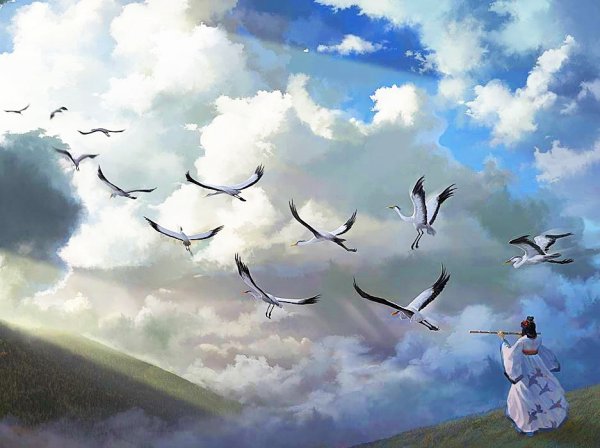 Птица высоко в небе