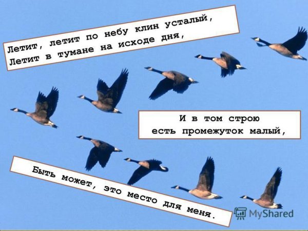 Лети по небу Клин усталый