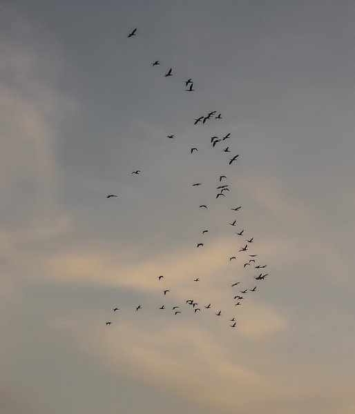 Мне кадется Пороб что солдат