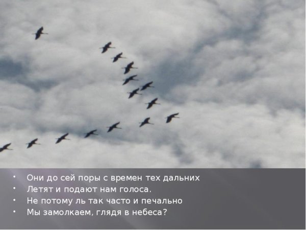 Журавлиный Клин картинки