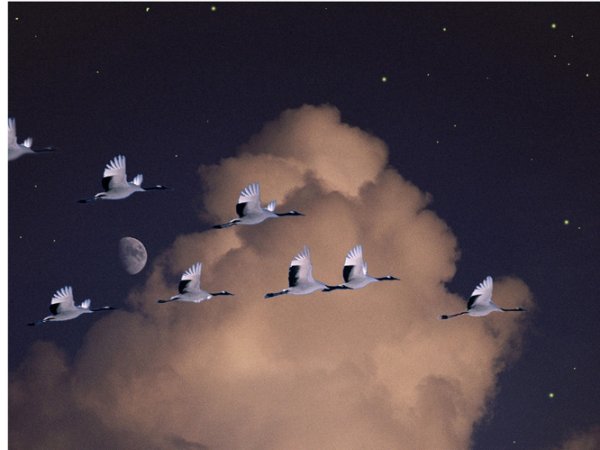 Журавлиный Клин Марк Бернес