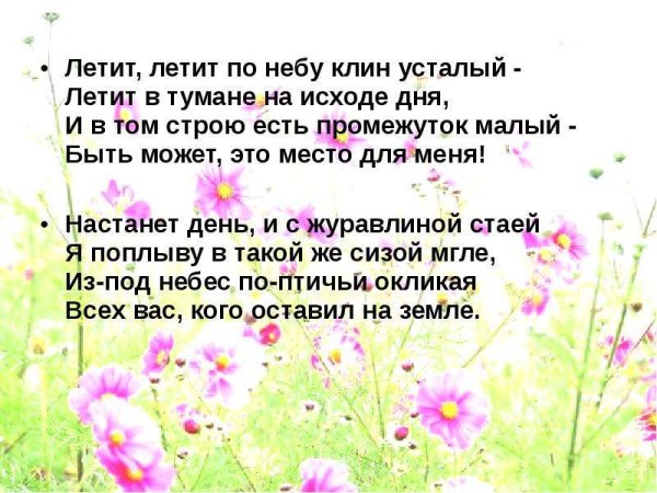 Журавлиный Клин в небе